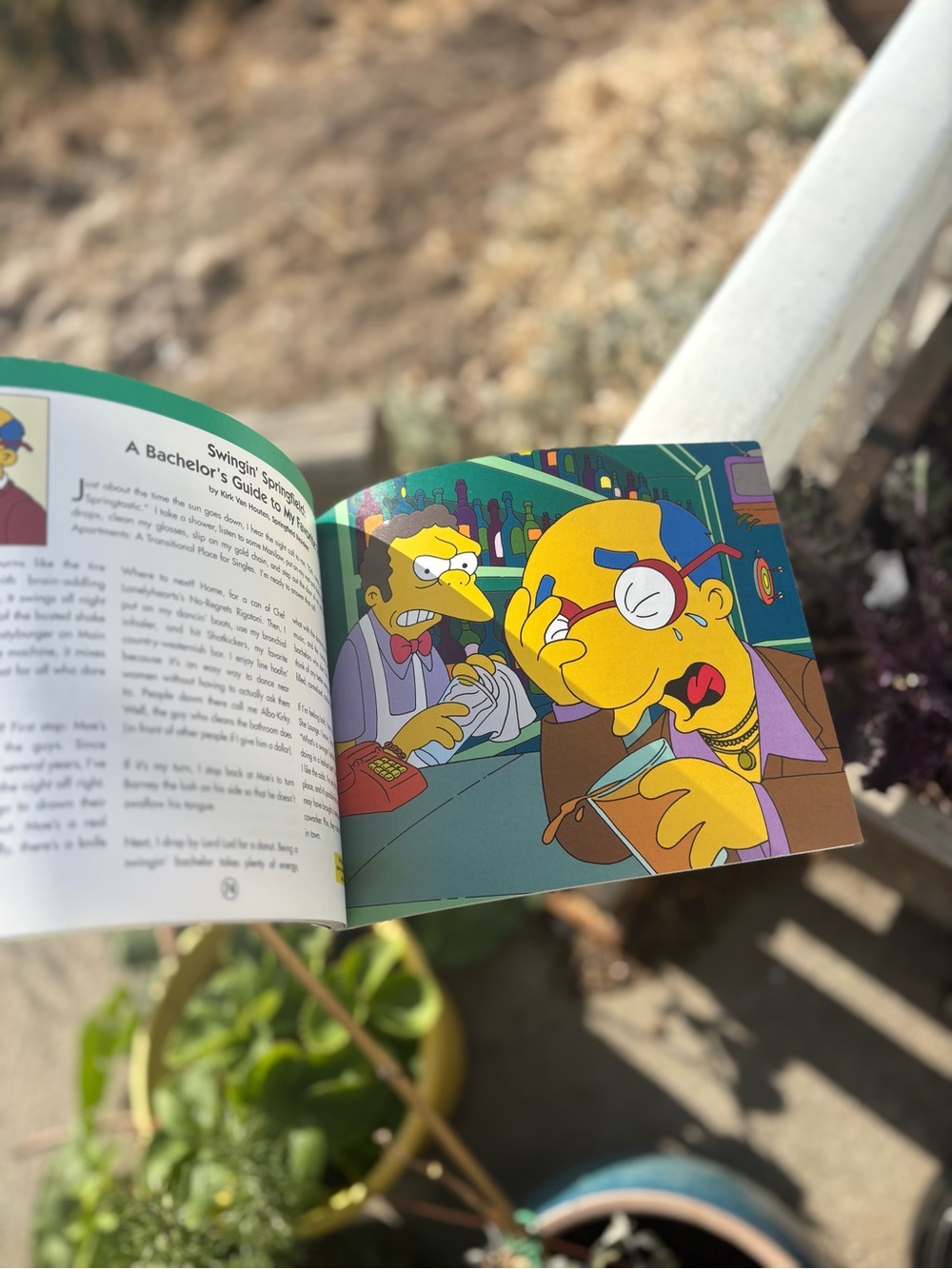 Springfield The Simpsons. Book - Picture 8 of 8
